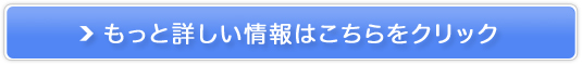 iPhoneCXy_CeRzC˗̔TCg